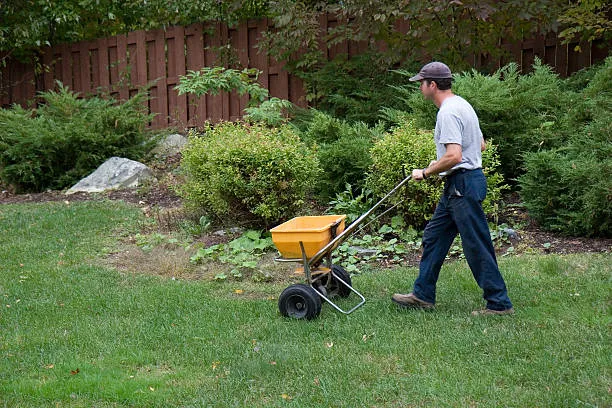 Fertilization and weed control service